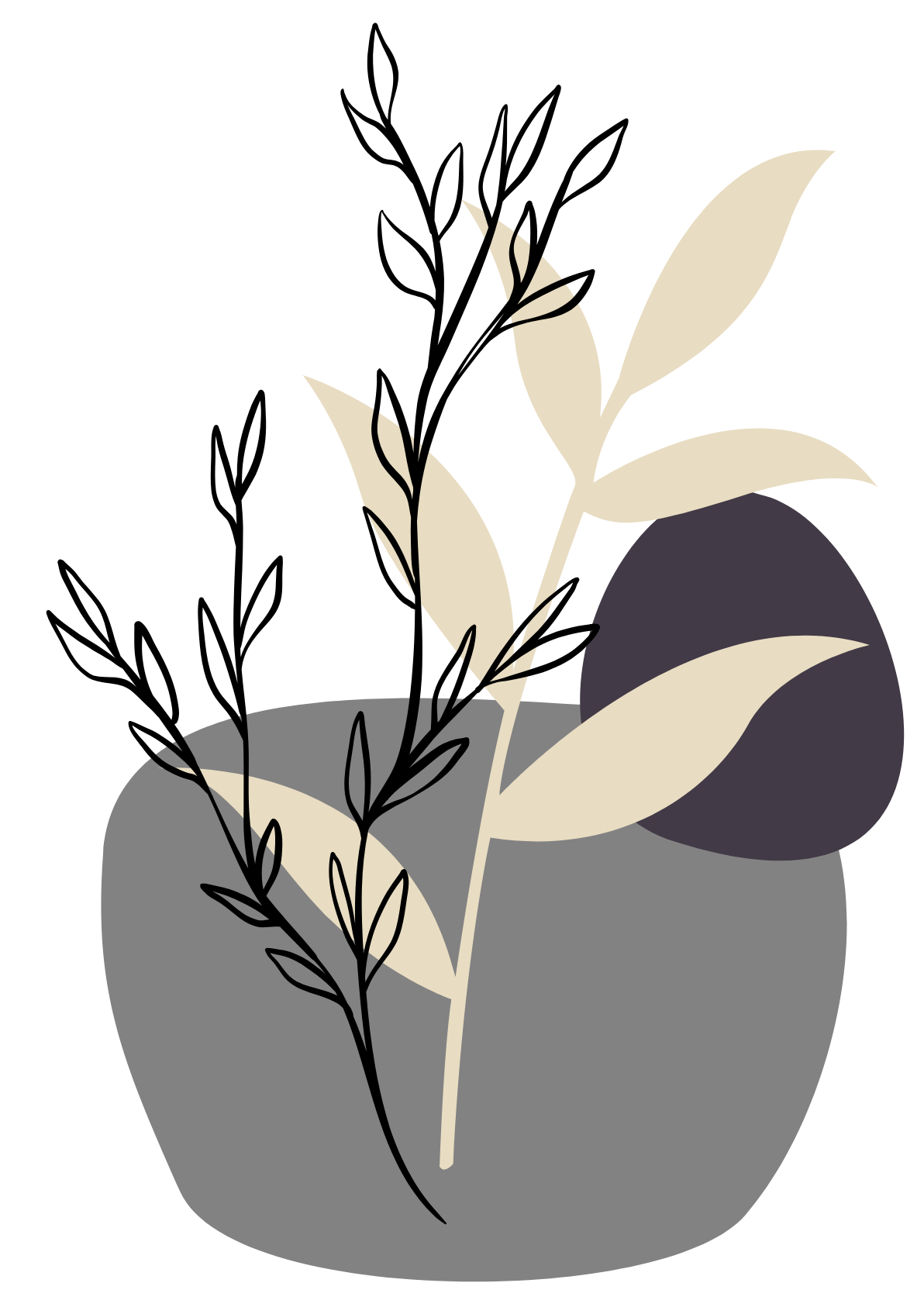 Illustration Plante Origo